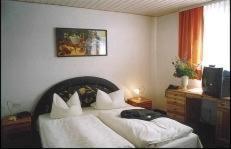 Hotel Goldener Karpfen Aschaffenbourg Commodités photo